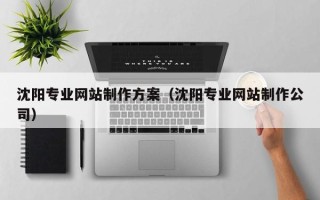 枣阳沈阳专业网站制作方案（沈阳专业网站制作公司）
